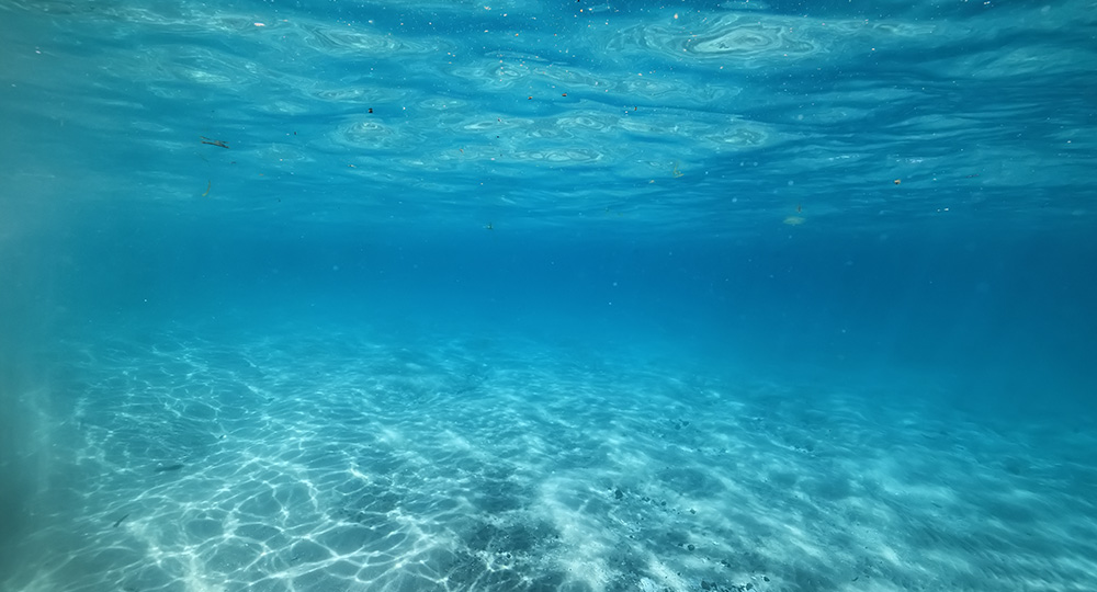 澄んだ淡いブルーの海の中